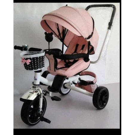 TRICICLO EVOLUTIVO
