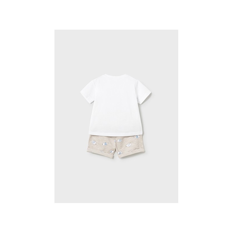 Conjunto 2 piezas elefante