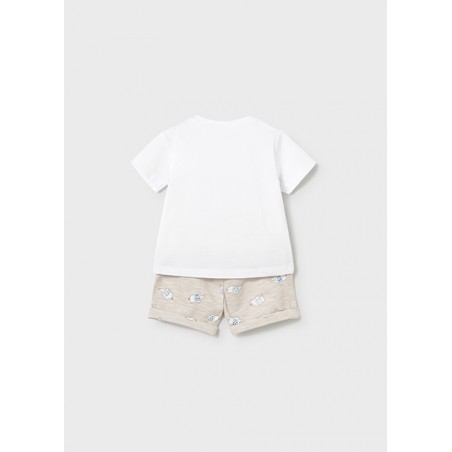 Conjunto 2 piezas elefante