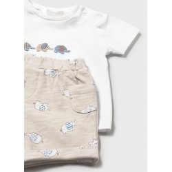 Conjunto 2 piezas elefante