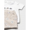Conjunto 2 piezas elefante