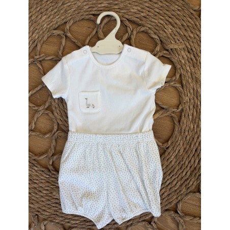 CONJUNTO GANSO MAYORAL